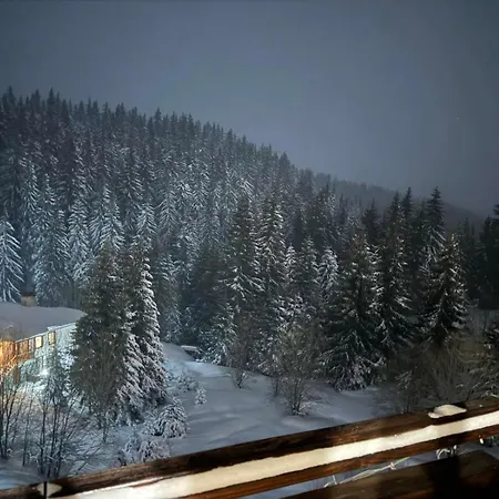 Daire Captain's Pamporovo