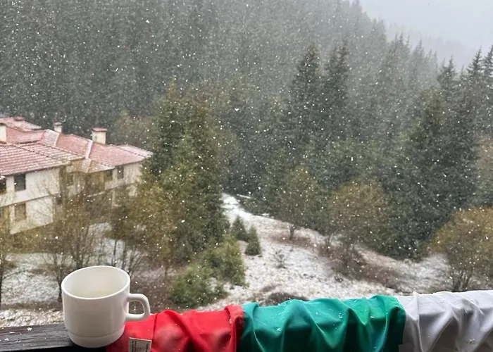 Captain's Appartamento *