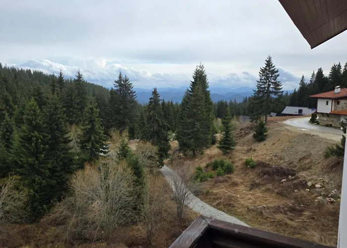 Captain's פמפורובו