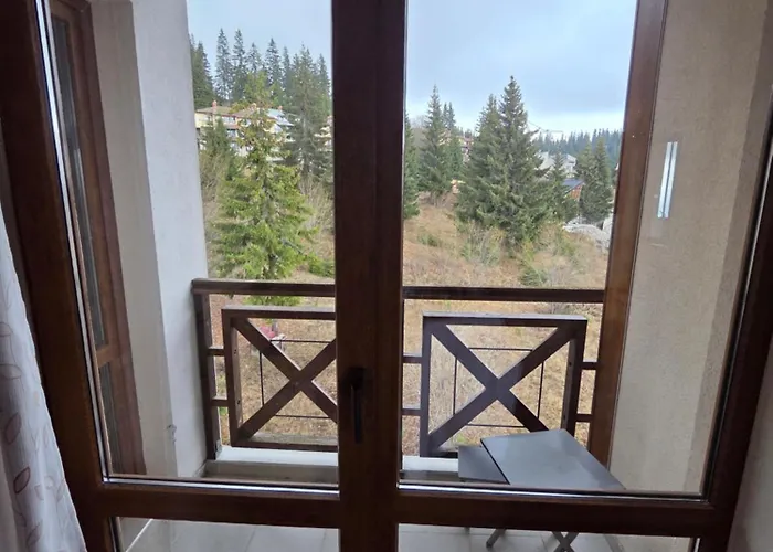 Captain's * פמפורובו